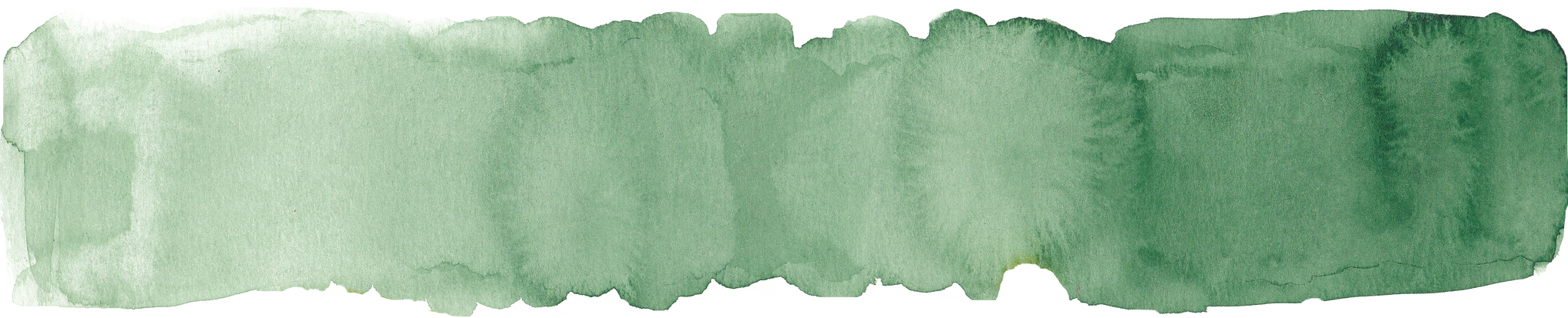 Green Watercolor Illustration